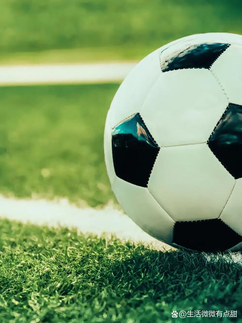 即时比分旧版本应用界面展示